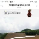 비탈밭옥수수파종고민입니다 이미지