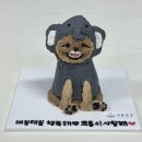 새콤달콩 이미지