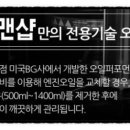 100프로카센타 네이버블로그