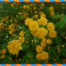 산책길에 이미지