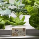 성미농장 이미지