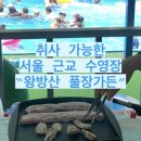 삼육사로27 | 왕방산 풀장가든 오픈런 후기 + 꿀팁 : 취사 가능한 서울근교 수영장