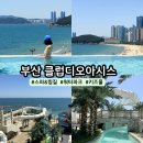 부산 키즈풀 해운대 클럽디오아시스 워터파크 스파 준비물 휴양 후기