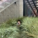 고고베이커리 이미지