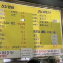 산오징어비빔회