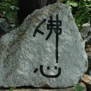 대광라사