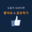 삼일키즈태권도 이미지
