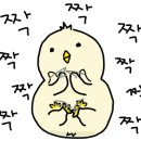 빅스타피자대구경대점 이미지