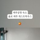 욜로 제주 게스트하우스 이미지