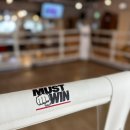 머스트윈 복싱 이미지