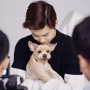 별이 이미지
