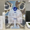 호남동물병원 | 광주 24시 동물병원 강아지 건강검진 김승현외과 메디컬센터