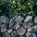 서사라 동물병원 이미지