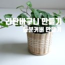 [다이음] 마인드힐링 플랜테리어 | 라탄바구니 만들기 화분커버 출강수업 다녀왔어요