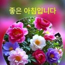 한,중 행정사 네이버블로그