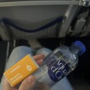 2232 | [DAY 7] 루프트한자 뮌헨->파리행 LH2232 탑승후기/루프트한자 뮌헨 버스셔틀/Backerei Hoflinger 빵...