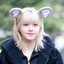유릴리 이미지