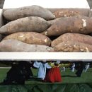 합심농장 이미지