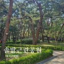 솔밭근린공원 공원화장실 | 도심속 힐링 솔밭근린공원