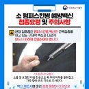 럼피 이미지