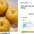 은혜과일 이미지