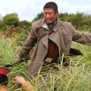 대승네트웍스 | [영화후기] 봉오동 전투, 1920년 죽음의 골짜기 &#34;모두의 싸움, 모두의 승리&#34;