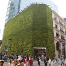 네이처리퍼블릭 카카오 검색결과