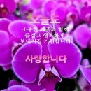 12월 23일 수요일 이미지