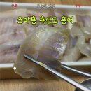 흑산도 | 조아홍 홍어 흑산도 홍어 숙성 후기, 초장에 찍어먹은 목포홍어 찐리뷰