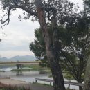 완주시니어클럽(빨간콩) 이미지