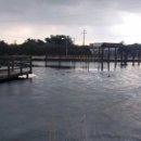 남생이못 습지생태 관찰원 이미지