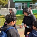 (학교)경포초 네이버블로그