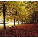 진컨설팅공인중개사사무소 이미지