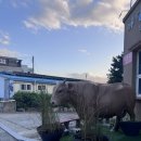 마당있는집 | 반찬가게 맞아? 이 정도면 엄마 손맛 복제 수준… 진해 마당있는집 포장 후기🍱