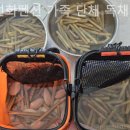 수선화펜션가족단체독채갯벌체험 | 태안펜션 수선화펜션 가족 단체 독채 갯벌체험 수영장 노을 분위기 감성숙소