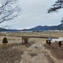 서호면보건지소 네이버블로그