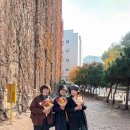 덕수궁길 이미지