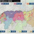 아프리카 이미지