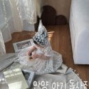 오브제293