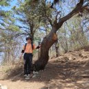 양지로48번길 이미지