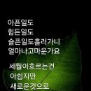 해피데이 - 서산시 양유정1로 4 | 해피데이