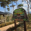 장성군치매안심센터 | 공립노인전문요양병원 황룡전통시장에서 장성군 보건소 치매안심센터와 함께 치매 인식 개선 캠페인 진행