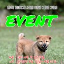 한진사 이미지