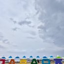 구산솔밭 이미지