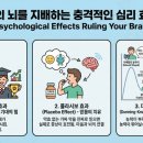 경희상사 | 당신의 뇌를 지배하는 충격적인 심리 효과들: 피그말리온부터 바넘 효과까지 완벽 해부