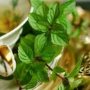 영성농장 이미지