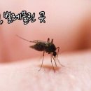 뷰티월드 이미지