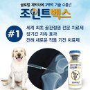 조인트동물병원 네이버블로그