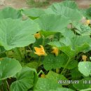 흥부공원 앞　 이미지