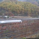 추평농장 이미지